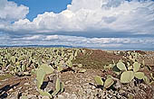 Vendicari nature reserve